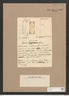 Synedra provincialis Grun. (de-Toni-Nr.: Genus 66, Species 2586) Zeichnungen Sammlung Grunow Nr. 5246 (NHMW-BOT-W0373621)